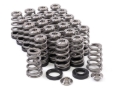 Picture of GSC Power Division GSC Valve Spring Kits Valve Springs, Retainers - 5026