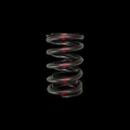 Picture of Brian Crower BC Valve Spring-Single Valve Springs, Retainers - BC1030-1