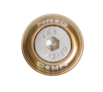 Picture of NRG Fender Washer Kits Hardware Kits - FW-110TI