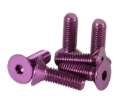 Picture of NRG Steering Wheel Accessories - SWS-100PP