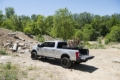 Picture of N-Fab NFB Podium Step Side Steps - HPF17105CC-6-TX