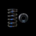 Picture of Brian Crower BC Spring & Retainer Kits Valve Springs, Retainers - BC0100S