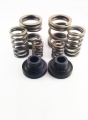 Picture of DDP Governor Springs Injection Pump Components - DDP 34KGSK