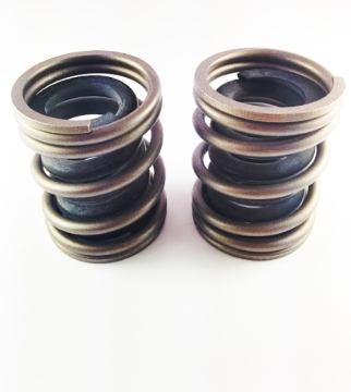 Picture of DDP Governor Springs Injection Pump Components - DDP COMPGSK