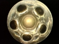 Picture of DDP Reman Inj-60% Over Fuel Injectors - DDP 325-300