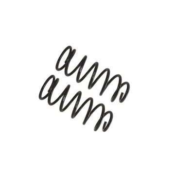 Picture of B12 (Special) - Coil Spring Set