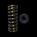 Picture of Brian Crower BC Spring & Retainer Kits Valve Springs, Retainers - BC0070S