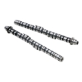 Picture of Skunk2 Racing SK Tuner Camshafts - 305-05-0055