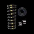 Picture of Brian Crower BC Spring & Retainer Kits Valve Springs, Retainers - BC0080S