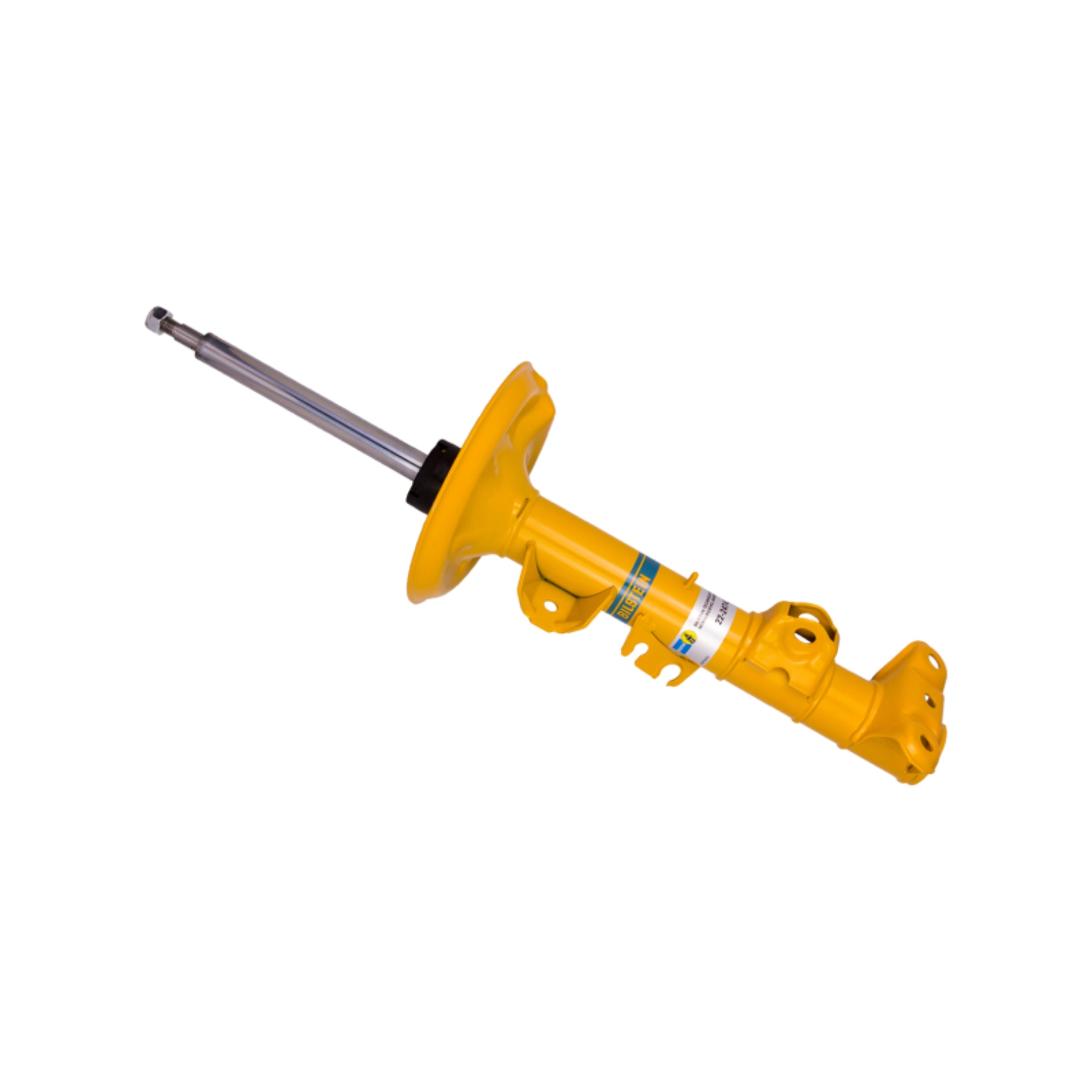 Picture of B6 Performance - Suspension Strut Assembly