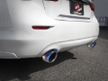 Picture of aFe Exhaust Axle Back - 49-36130NM-L