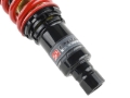 Picture of Skunk2 Racing SK Pro-ST Coilovers - 541-05-8715