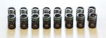 Picture of HKS Valve Springs Valve Springs, Retainers - 22001-AM001