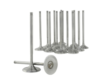 Picture of Skunk2 Racing SK Alpha Valves - 310-05-1555