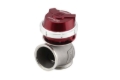 Picture of Turbosmart TS WG50 Pro-Gate Wastegates - TS-0554-1014