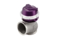 Picture of Turbosmart TS WG50 Pro-Gate Wastegates - TS-0554-1013