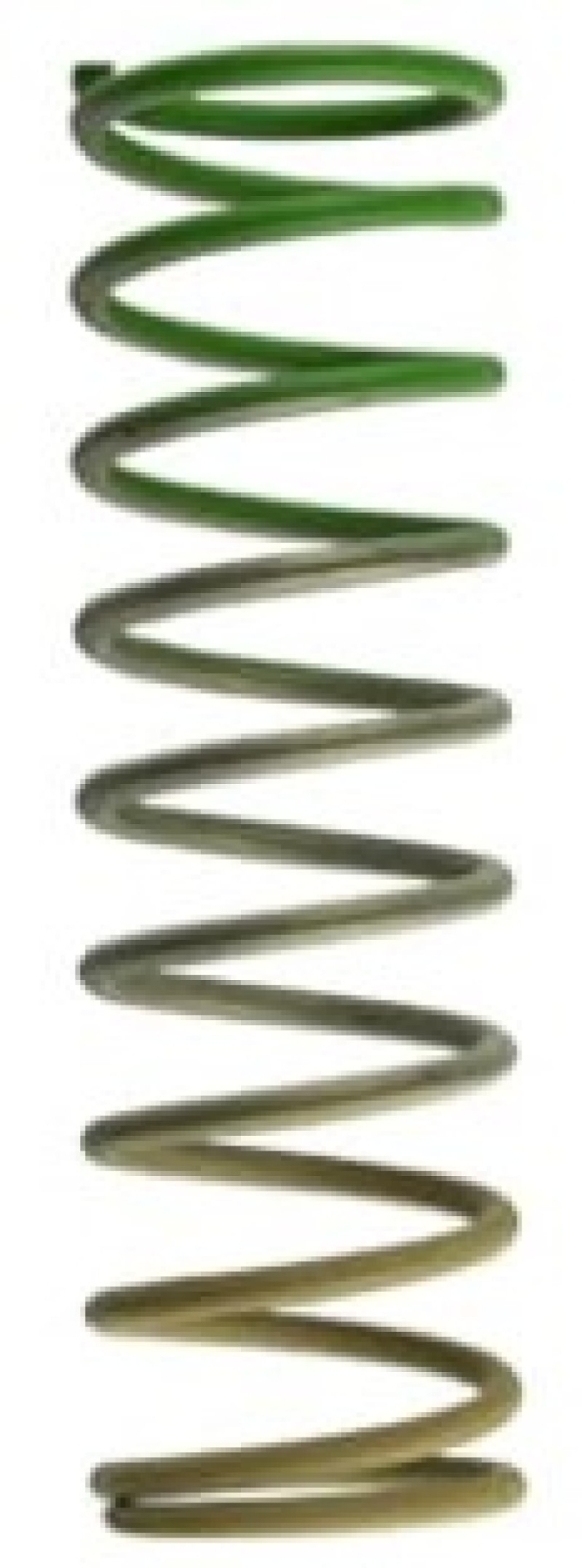 Picture of Turbosmart TS Wastegate Springs - TS-0505-2013