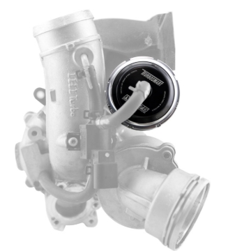 Picture of Turbosmart TS IWG75 Wastegates - TS-0645-5052