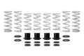 Picture of Eibach EIB Pro-UTV Kits Suspension Packages - E85-209-005-02-22