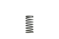 Picture of Turbosmart TS Wastegate Springs - TS-0502-2001