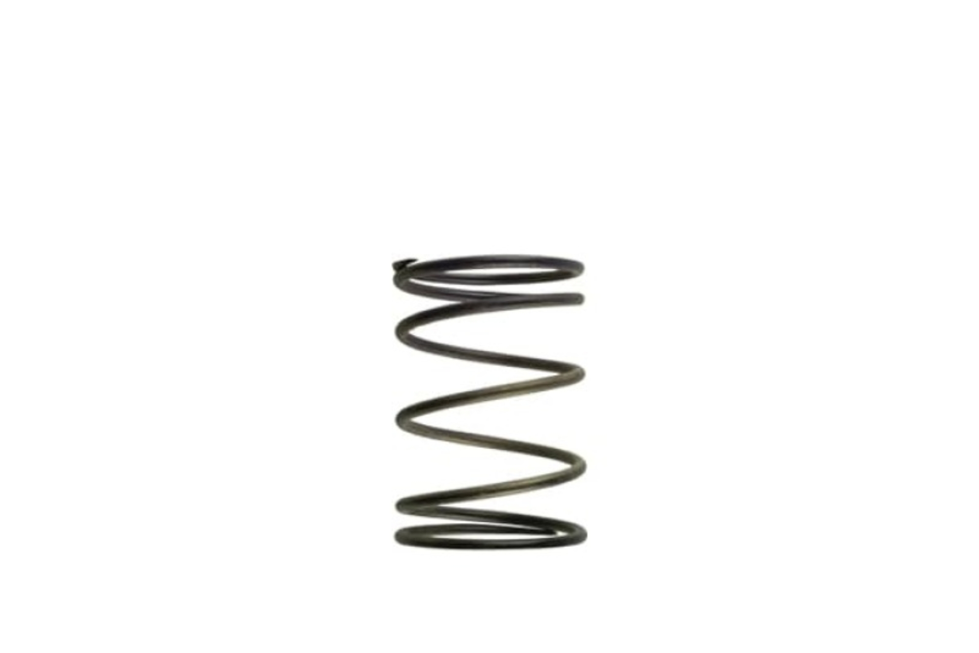 Picture of Turbosmart TS Wastegate Springs - TS-0502-2003