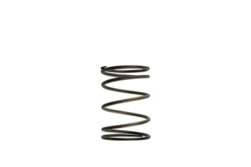 Picture of Turbosmart TS Wastegate Springs - TS-0502-2003