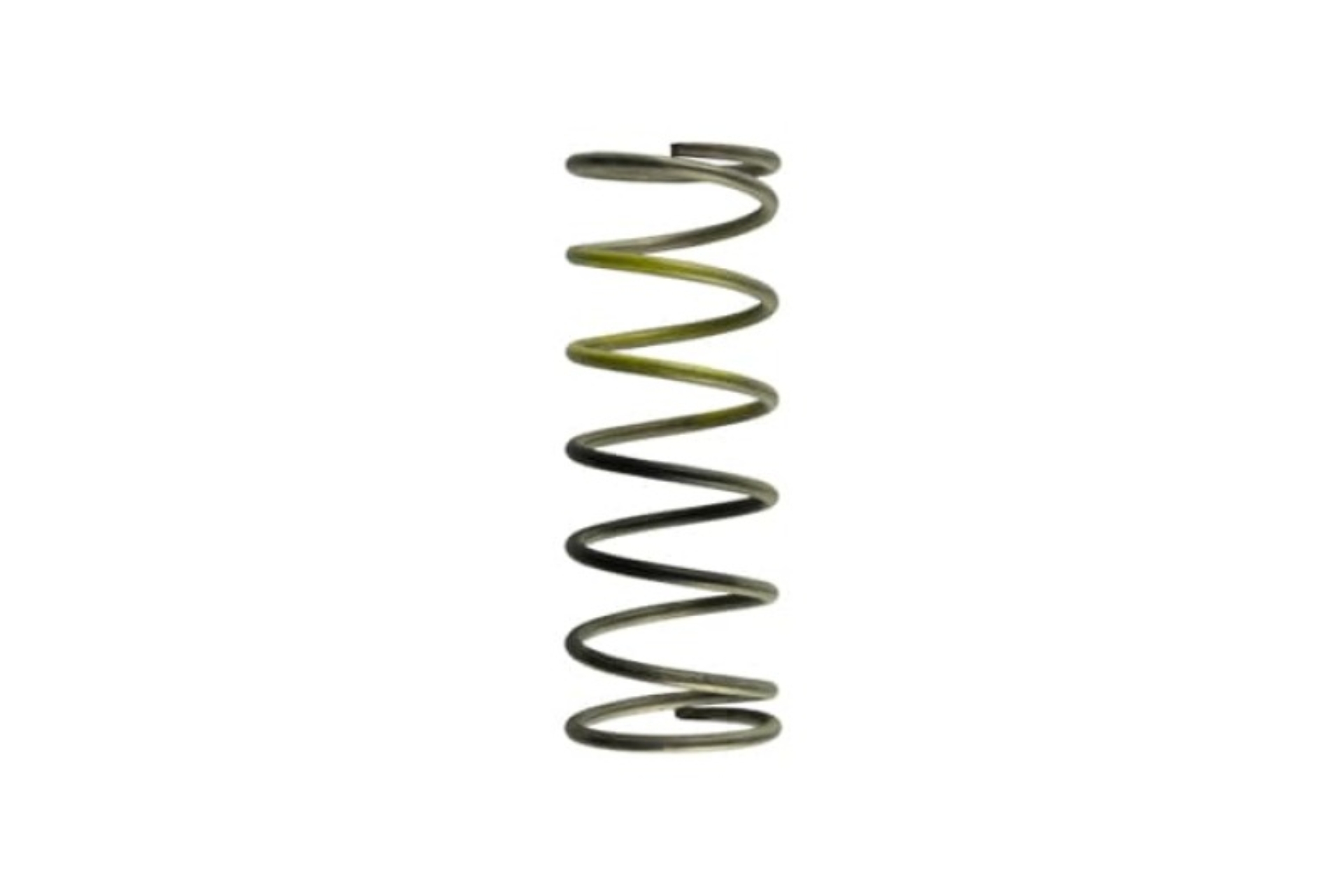 Picture of Turbosmart TS Wastegate Springs - TS-0502-2005