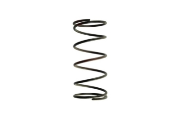 Picture of Turbosmart TS Wastegate Springs - TS-0502-2006