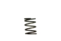 Picture of Turbosmart TS BOV Springs Blow Off Valve Accessories - TS-0505-2002