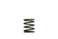 Picture of Turbosmart TS BOV Springs Blow Off Valve Accessories - TS-0505-2001