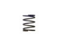 Picture of Turbosmart TS BOV Springs Blow Off Valve Accessories - TS-0505-2003