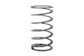 Picture of Individual Race Spring
