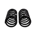 Picture of Old Man Emu ARB OME Coil Springs Rear Coilover Springs - 2899