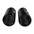 Picture of Old Man Emu ARB OME Coil Springs Rear Coilover Springs - 2987