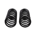Picture of Old Man Emu ARB OME Coil Springs Rear Coilover Springs - 2GQ02C