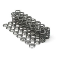 Picture of Brian Crower BC Spring & Retainer Kits Valve Springs, Retainers - BC0100