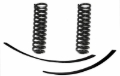 Picture of Skyjacker SKY Coil Springs Lift Springs - 172PK
