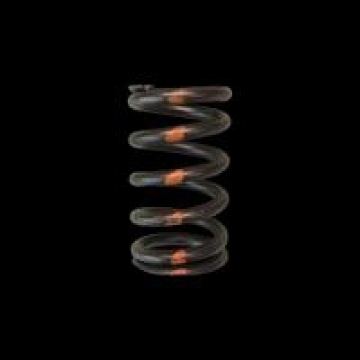Picture of Brian Crower BC Valve Springs Valve Springs, Retainers - BC1650