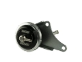 Picture of Turbosmart TS IWG75 Wastegates - TS-0625-1032