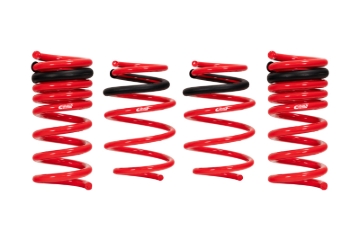 Picture of Sportline Lowering Springs