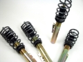 Picture of H&R HR Street Perf Coil Overs - 29511-1