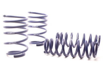 Picture of H&R HR Race Springs Lowering Springs - 50490-88