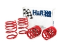 Picture of H&R HR Race Springs Lowering Springs - 50484-88