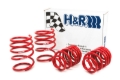 Picture of H&R HR Race Springs Lowering Springs - 50484-88