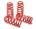 Picture of H&R HR Race Springs Lowering Springs - 54753-88