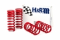 Picture of H&R HR Race Springs Lowering Springs - 51650-88