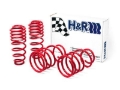 Picture of H&R HR Race Springs Lowering Springs - 51655-88