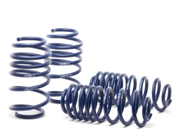 Picture of H&R HR Race Springs Lowering Springs - 54754-88