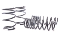 Picture of H&R HR Race Springs Lowering Springs - 50460-88