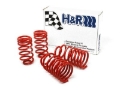 Picture of H&R HR Race Springs Lowering Springs - 54748-88